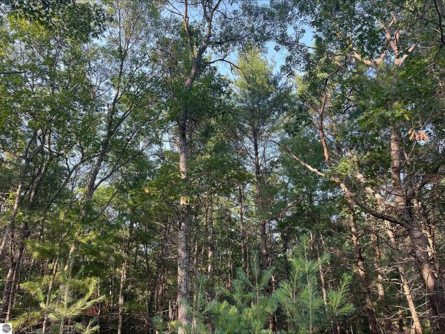 Land for sale in Au Sable, Au Sable Township