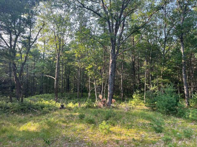 Land for sale in Au Sable, Au Sable Township