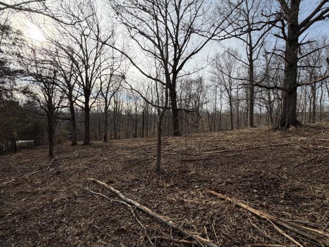 Land for sale in Tennessee