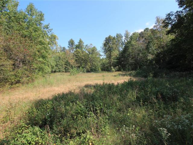 Land for sale in Fredericktown, Missouri