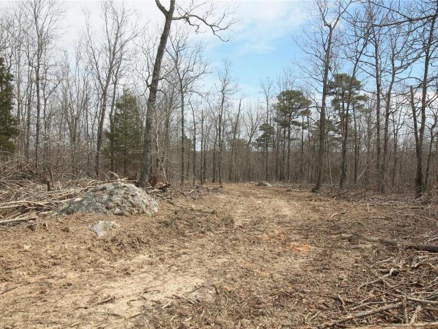 Land for sale in Fredericktown, Missouri