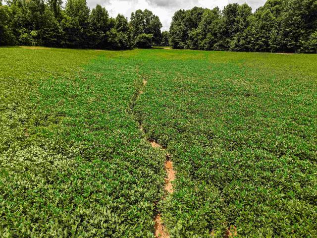 Land for sale in Tennessee