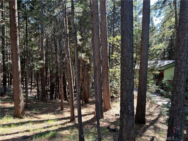 Land for sale in Butte, California