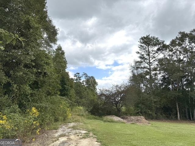 Land for sale in Bowdon, Carroll County