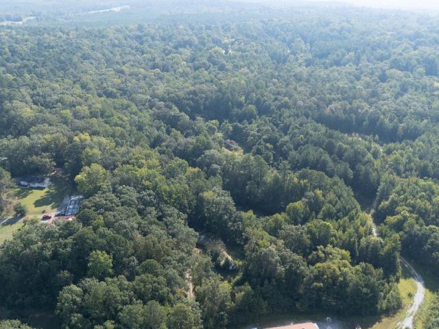 Land for sale in Centreville, Alabama