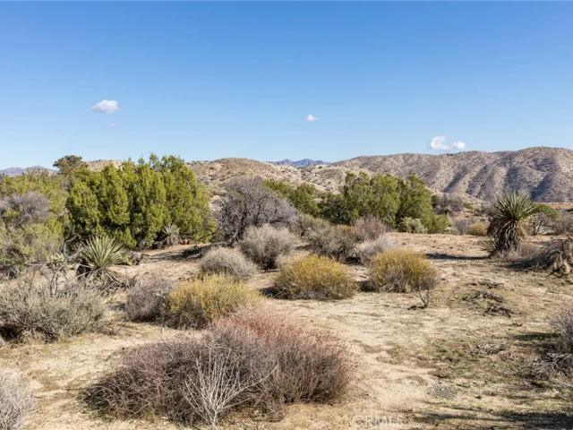 Land for sale in Morongo Valley, California
