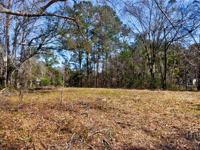 Land for sale in Guyton, Georgia