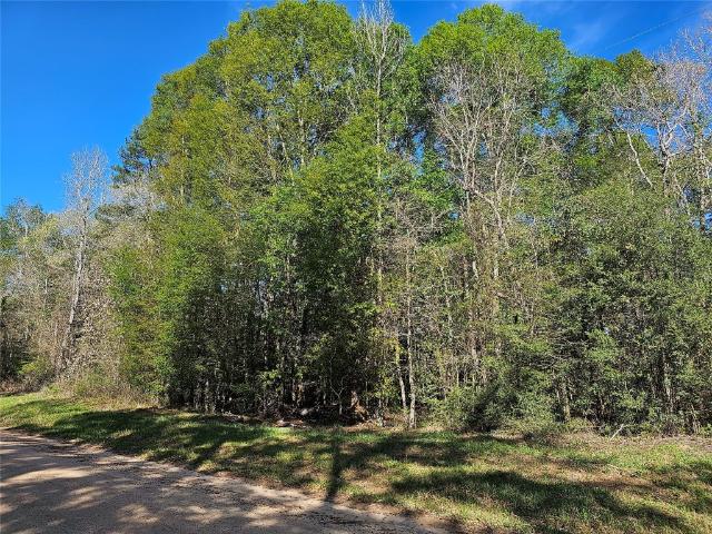Land for sale in Polk, Texas