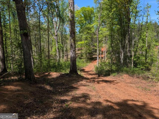 Land for sale in Pendergrass, Georgia