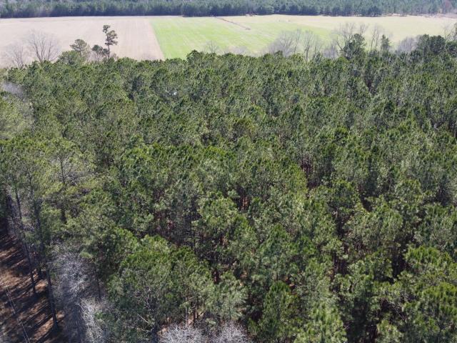 Land for sale in Bonneau