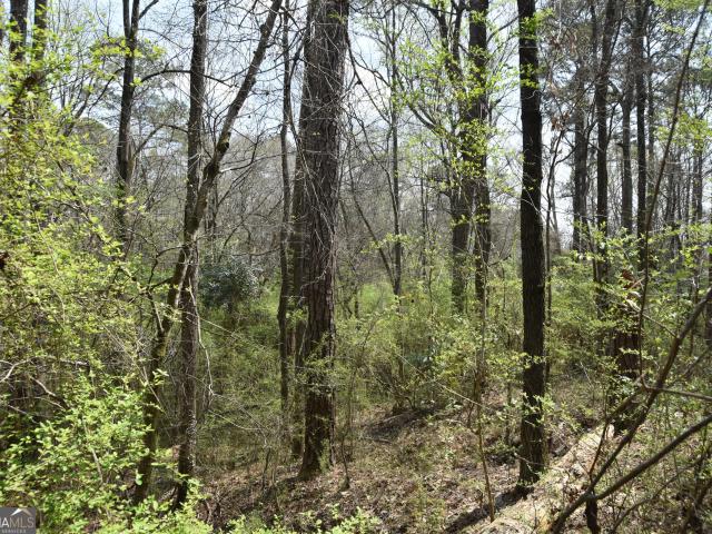 Land for sale in Waverly Hall, Georgia