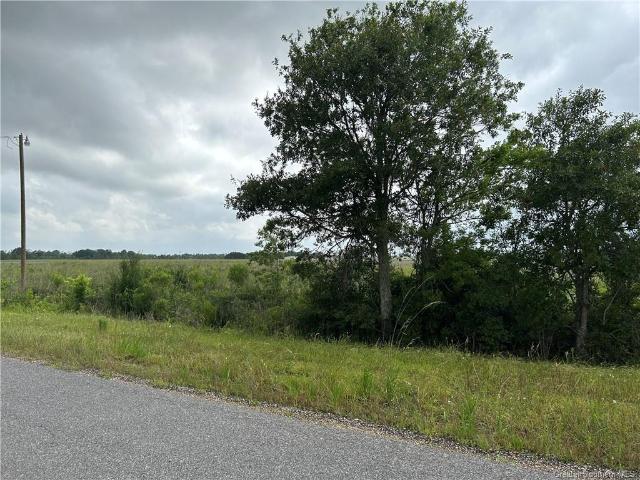Land for sale in Lacassine, Louisiana