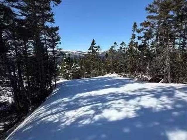 House for sale in Newfoundland And Labrador