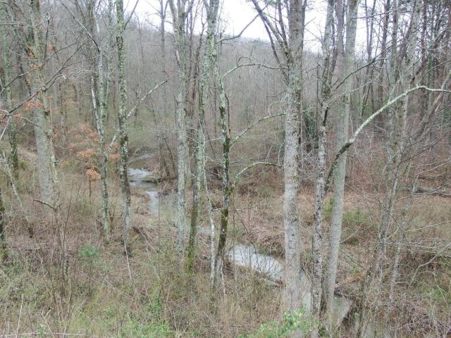 Land for sale in Tennessee