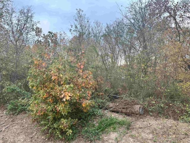 Land for sale in Ark