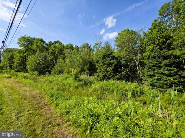Land for sale in Clearfield, Pennsylvania