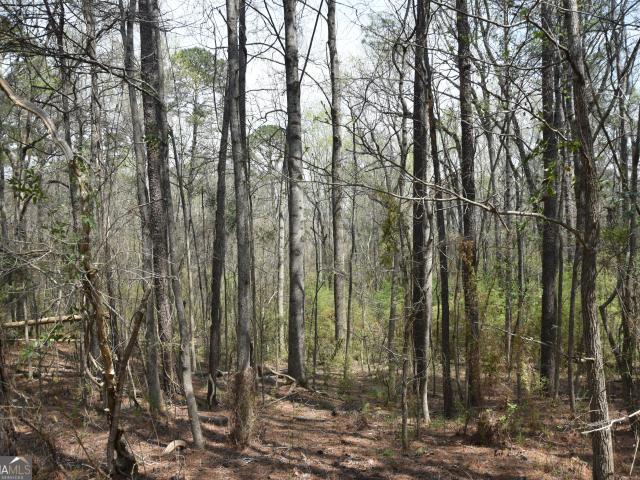 Land for sale in Waverly Hall, Georgia