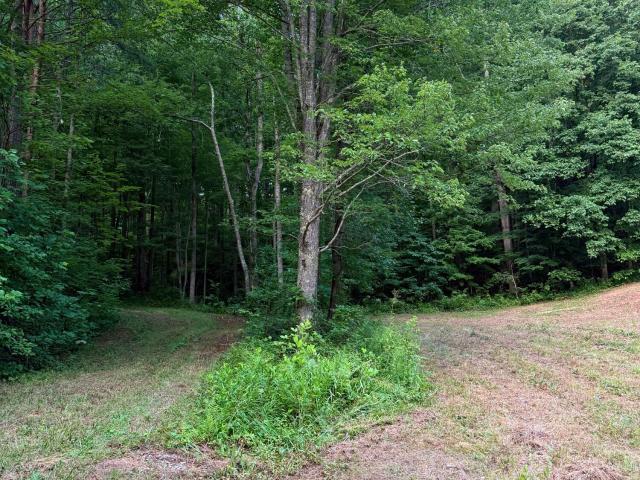 Land for sale in Booneville, Kentucky