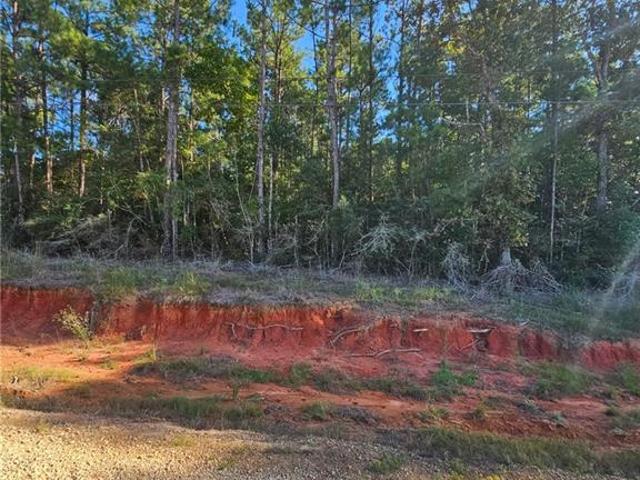 Land for sale in Amite City, Tangipahoa Parish