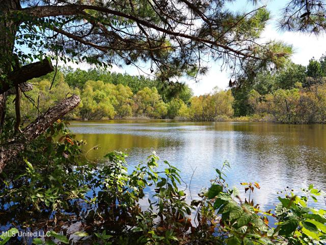 Land for sale in Lincoln County, Mississippi