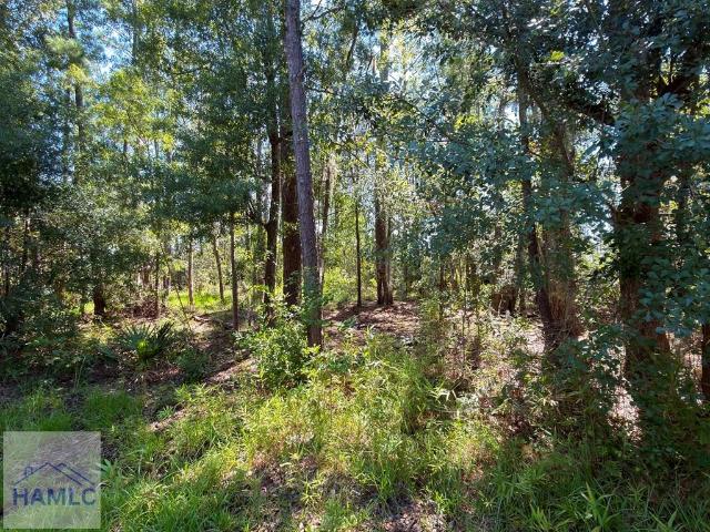 Land for sale in Midway, Georgia
