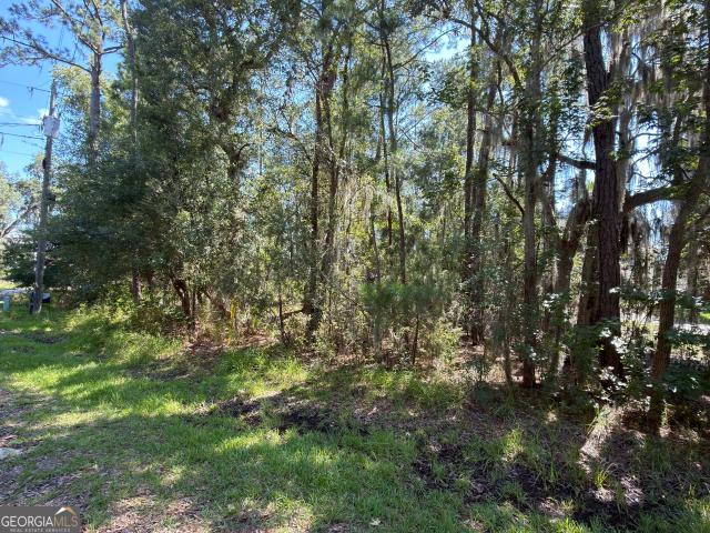 Land for sale in Midway, Georgia
