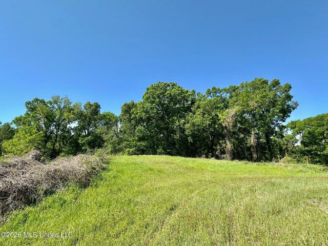 Land for sale in Carrollton, Mississippi