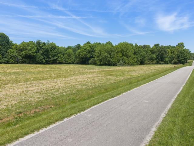Land for sale in Hollow Rock, West Tennessee