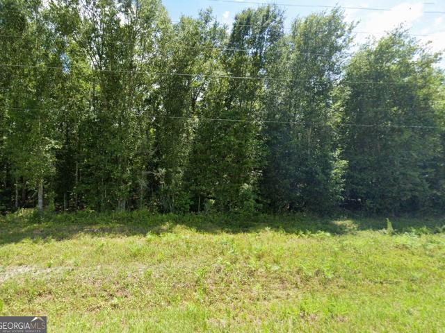 Land for sale in Arabi, Georgia