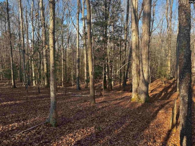 Land for sale in Winnsboro, South Carolina