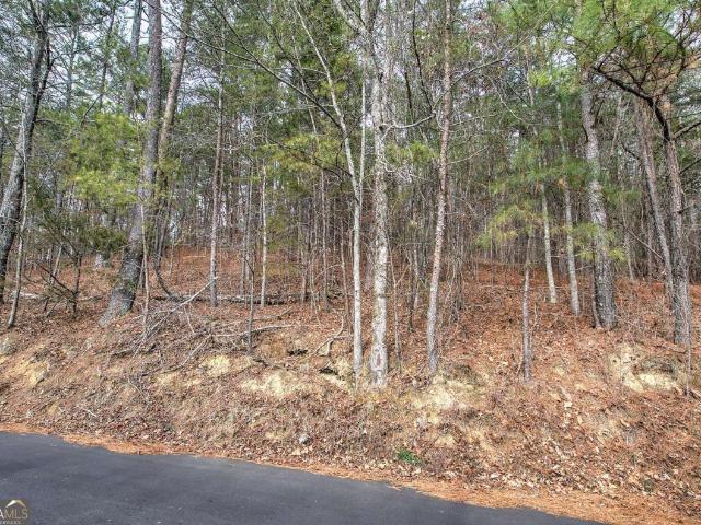 Land for sale in Suttles Mill, Summerville