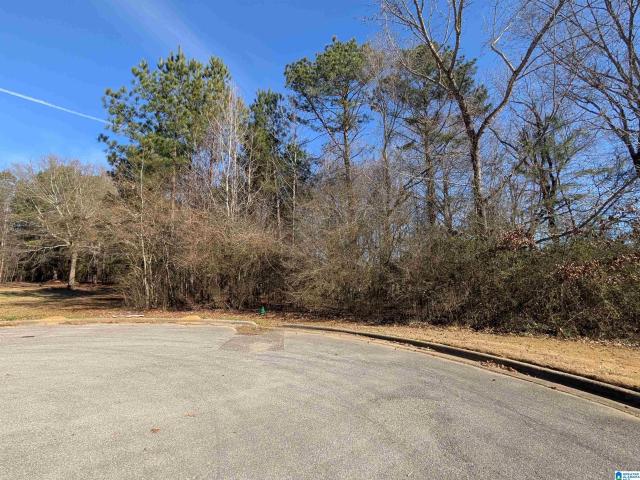 Land for sale in Eastaboga, Alabama
