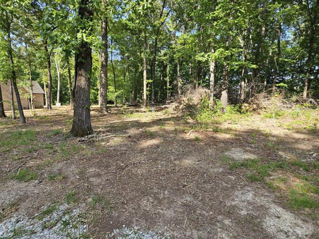 Land for sale in Tennessee