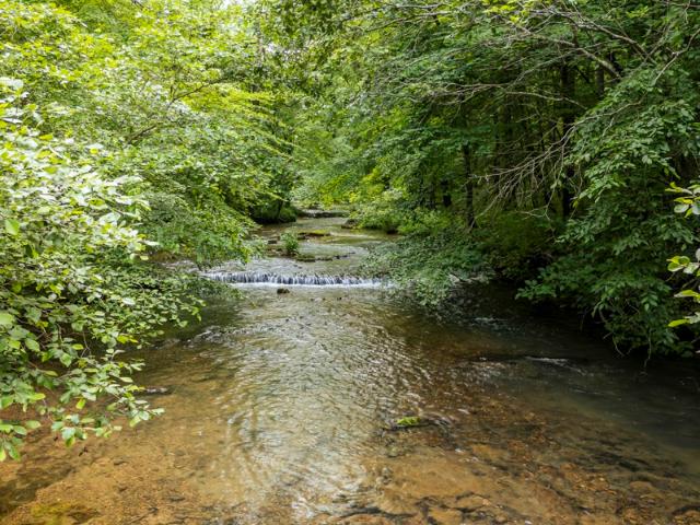 Land for sale in Tennessee