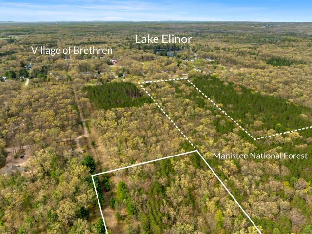 Land for sale in Brethren, Michigan