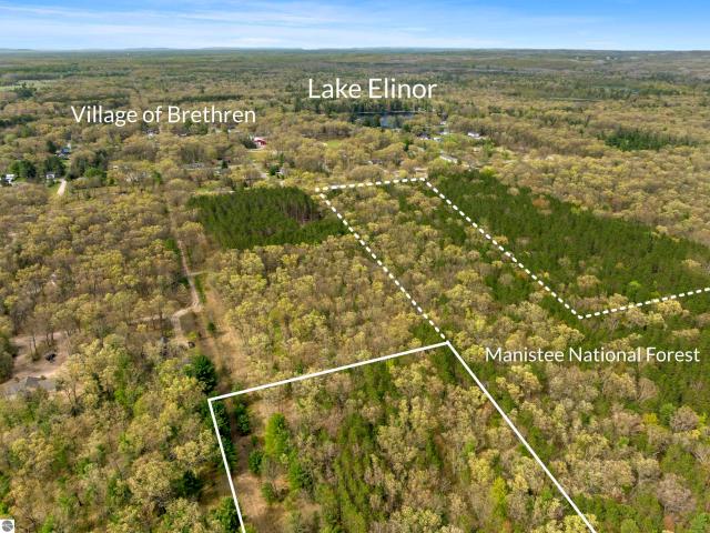 Land for sale in Brethren, Michigan