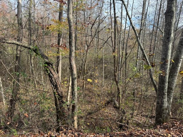 Farm for sale in Williamsburg, Kentucky