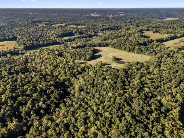 Land for sale in Dickson, Middle Tennessee