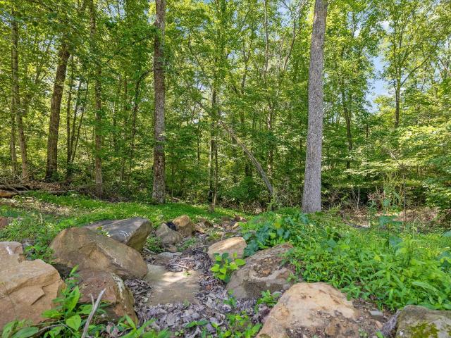 Land for sale in Lookout Mountain, Georgia