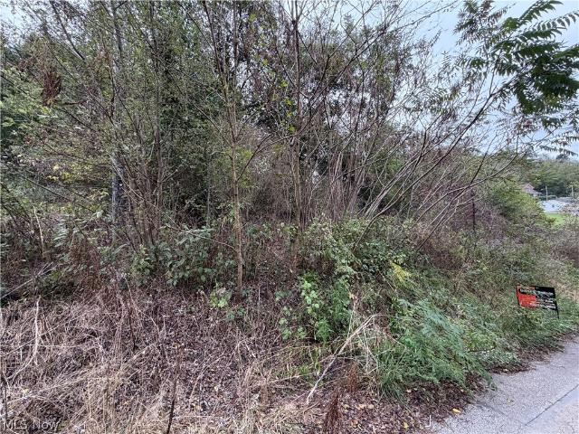 Land for sale in Bellaire, Belmont County
