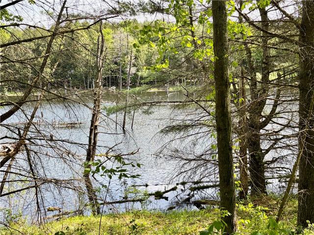 Land for sale in Hartwick, New York