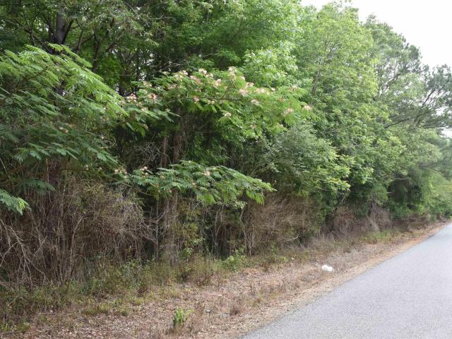 Land for sale in Alpine, Alabama