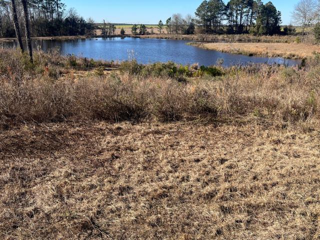Land for sale in Rhine, Georgia