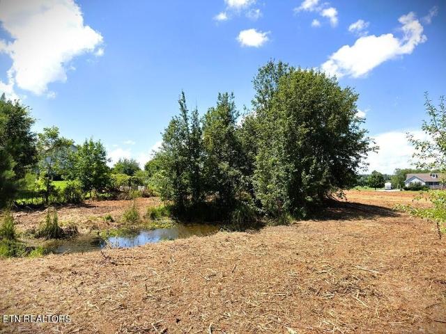Land for sale in Tennessee