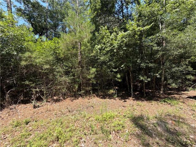 Land for sale in Louisiana