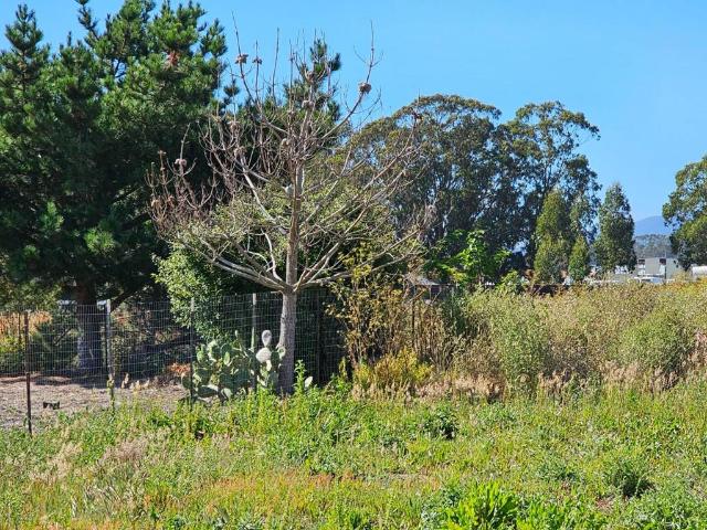 Land for sale in San Mateo, California