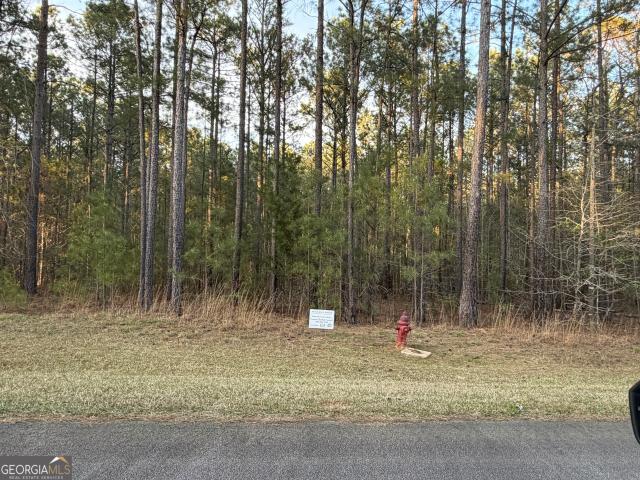 Land for sale in Lincolnton, Georgia