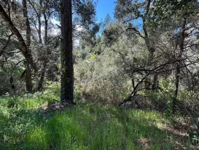House for rent in Ben Lomond, California