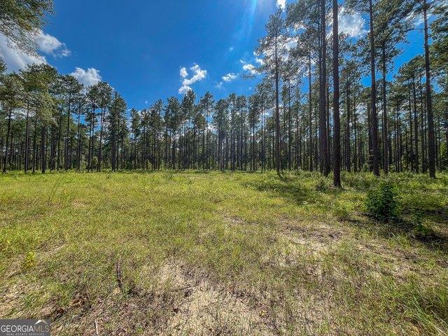 Land for sale in Dexter, Laurens County