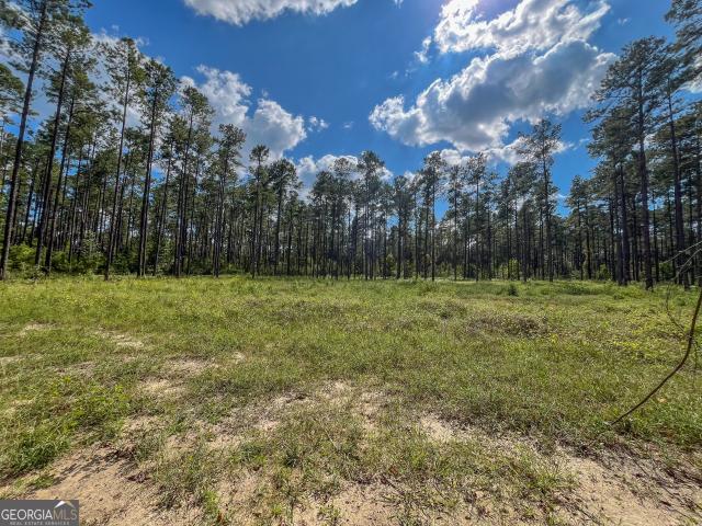 Land for sale in Dexter, Laurens County